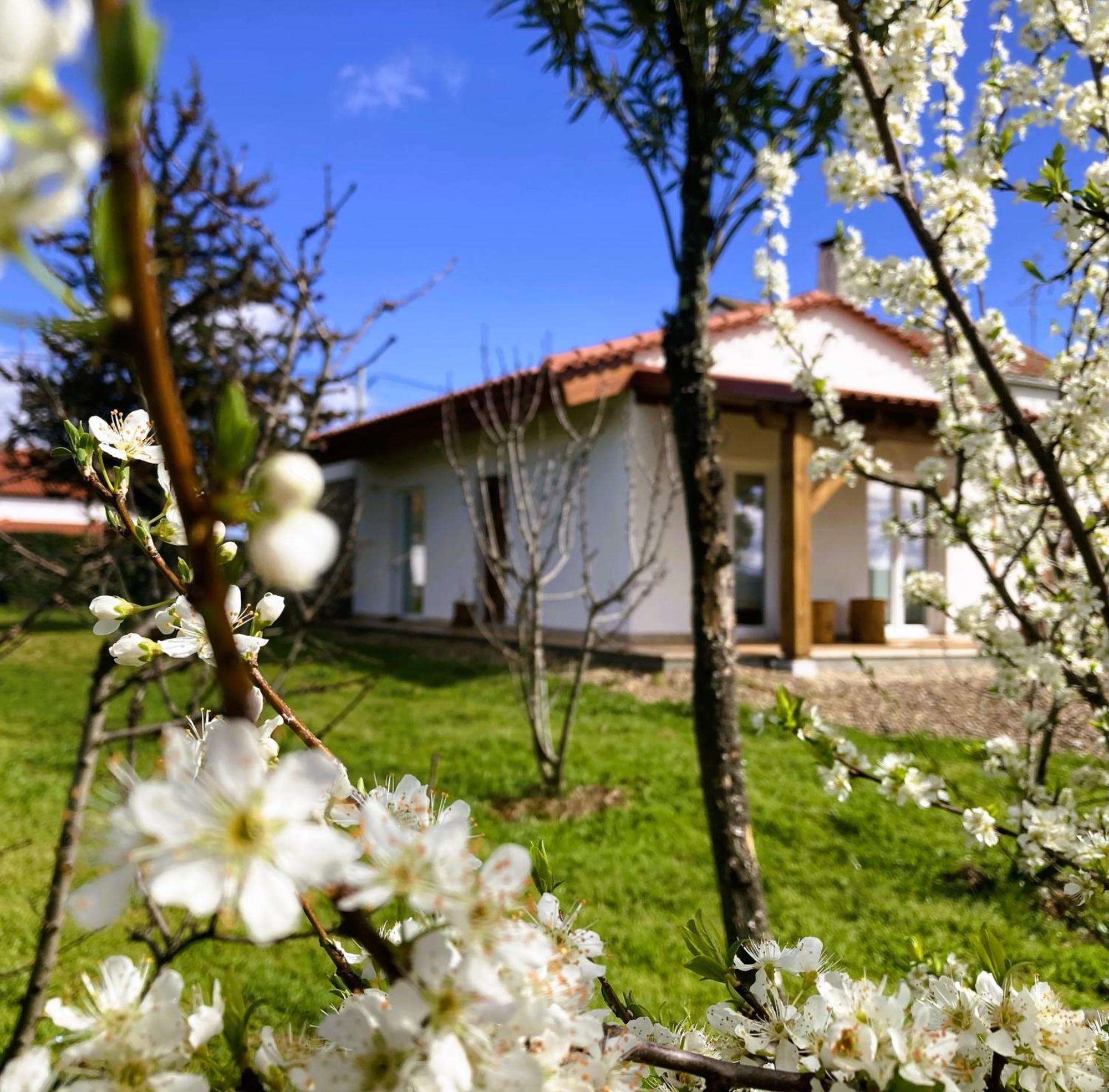 Ar Da Beira - Serra Da Estrela Belmonte  Zewnętrze zdjęcie
